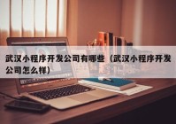 武漢小程序開(kāi)發(fā)公司有哪些（武漢小程序開(kāi)發(fā)公司怎么樣）