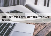 軟件開(kāi)發(fā)一個(gè)月多少錢（軟件開(kāi)發(fā)一個(gè)月工資多少錢）