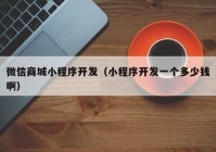 微信商城小程序開發(fā)（小程序開發(fā)一個多少錢?。? /></a>
		</div>
		<div   id=