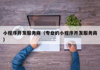 小程序開(kāi)發(fā)服務(wù)商（專(zhuān)業(yè)的小程序開(kāi)發(fā)服務(wù)商）