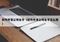 軟件開發(fā)公司名字（軟件開發(fā)公司名字怎么?。? /></a>
		</div>
		<div   id=