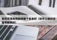 軟件開發(fā)和物聯網哪個前景好（軟件工程好還是物聯網好）