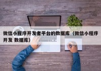 微信小程序開發(fā)者平臺(tái)的數(shù)據(jù)庫(kù)（微信小程序開發(fā) 數(shù)據(jù)庫(kù)）
