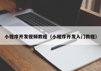 小程序開(kāi)發(fā)視頻教程（小程序開(kāi)發(fā)入門(mén)教程）