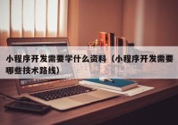 小程序開發(fā)需要學什么資料（小程序開發(fā)需要哪些技術路線）